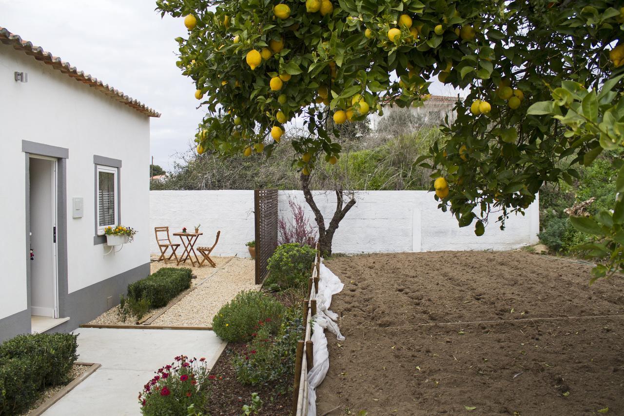 Casa Do Avo Serra Leiria Eksteriør billede