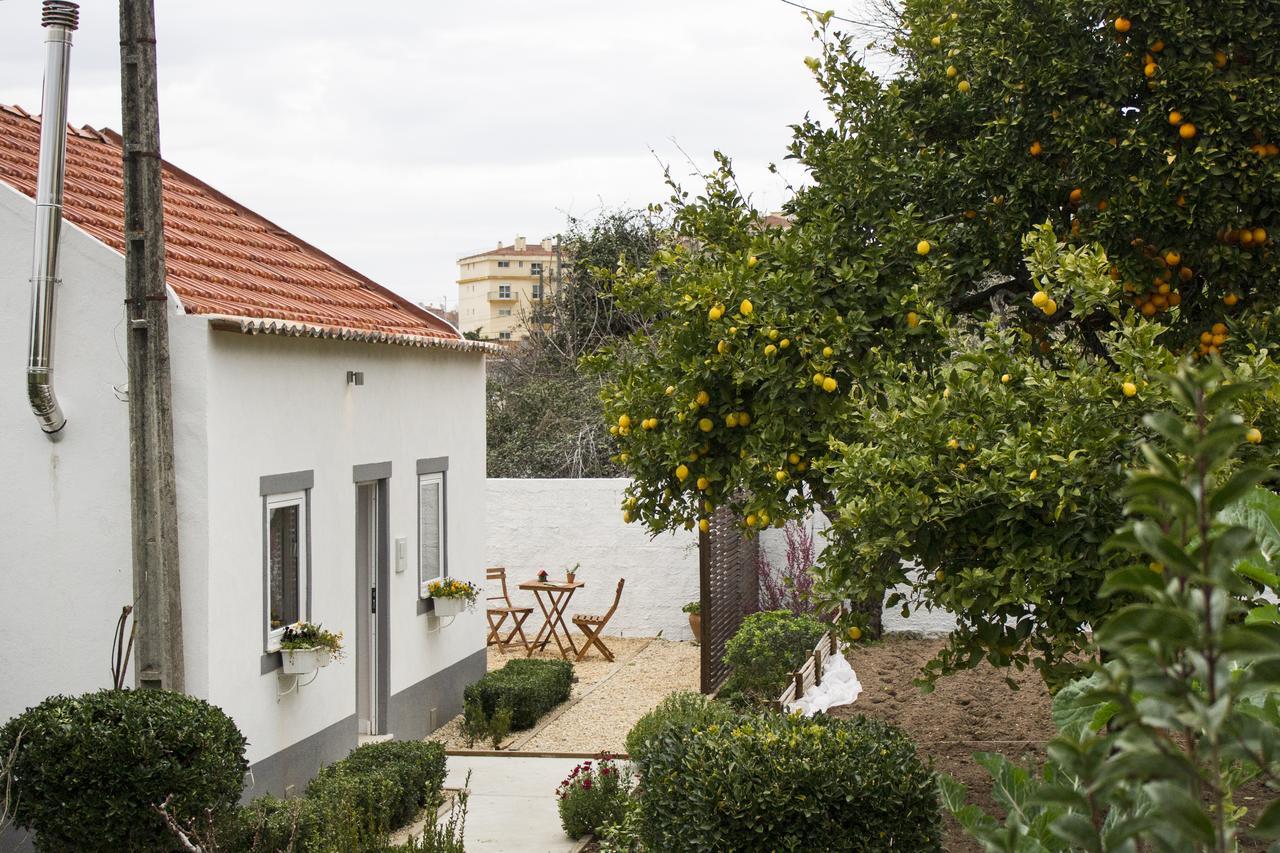 Casa Do Avo Serra Leiria Eksteriør billede